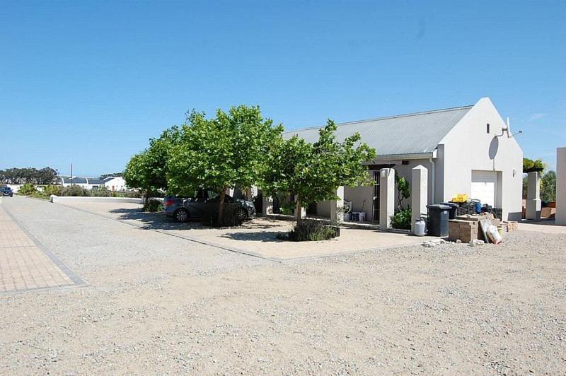 Longacre Olive & Vineyard Estate Guest House Langebaan Ngoại thất bức ảnh
