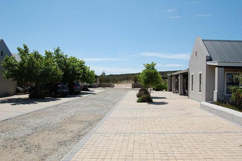 Longacre Olive & Vineyard Estate Guest House Langebaan Ngoại thất bức ảnh